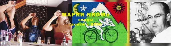 молекула духа Дмитриев