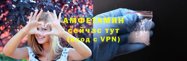 молекула духа Дмитриев