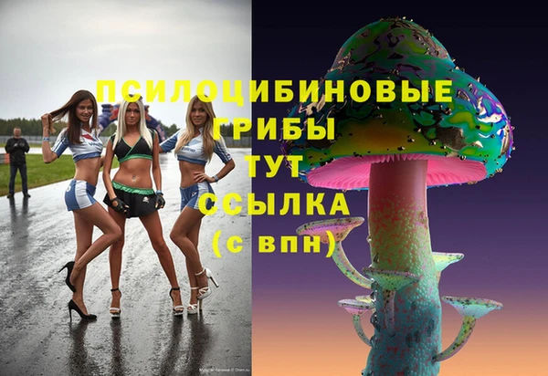 эйфоретик Дмитровск