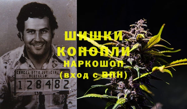 молекула духа Дмитриев