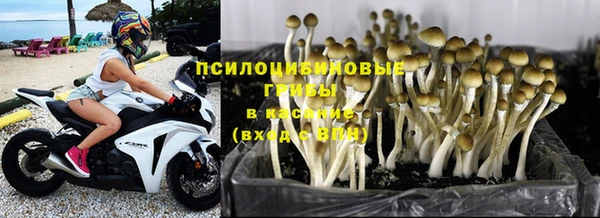 эйфоретик Дмитровск