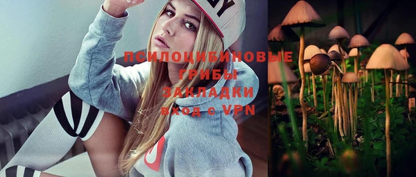 эйфоретик Дмитровск