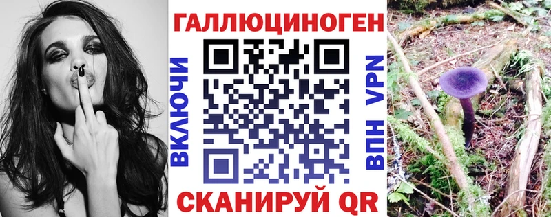 Псилоцибиновые грибы MAGIC MUSHROOMS  Купить закладки  Гатчина 